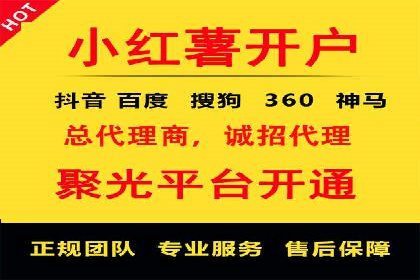 SEM代理服务：助力企业精准营销案例解析
